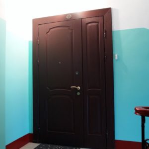 Противопожарная дверь в квартиру / серия FRM33280